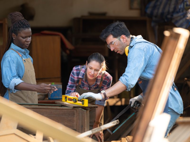 carpenter-and-his-assistant-working-together-in-a-2025-01-08-02-45-12-utc.jpg carpenter-and-his-assistant-working-together-in-a-2025-01-08-02-45-12-utc.jpg